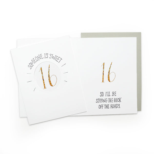 Sixteen – Wild Ink Press