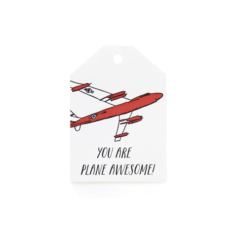 Classroom Valentines - Plane Awesome